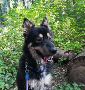 IMG_20220911_012744.jpg IMG_20220911_012744.jpg