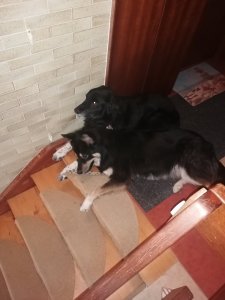 IMG_20220715_103219.jpg IMG_20220715_103219.jpg