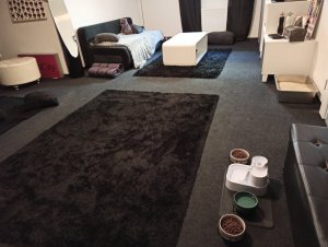 IMG_20220916_164349.jpg IMG_20220916_164349.jpg