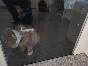 IMG_20220916_180844.jpg IMG_20220916_180844.jpg