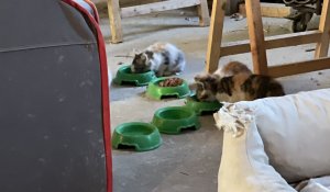 734A6ADB-29A9-4624-B9ED-CD775126A266.jpeg 734A6ADB-29A9-4624-B9ED-CD775126A266.jpeg