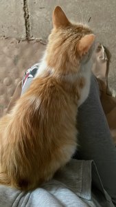 8A3E9179-E7D0-414E-BFF9-D0A95368F49C.JPG 8A3E9179-E7D0-414E-BFF9-D0A95368F49C.JPG