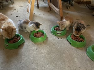 6D076DC6-7A64-49BE-ABA6-9FC192A44005.jpeg 6D076DC6-7A64-49BE-ABA6-9FC192A44005.jpeg