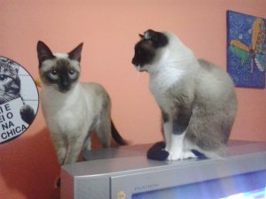 2019-07-18 23.09.50.jpg