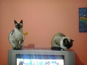 2019-07-18 23.10.43.jpg