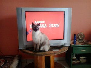 2019-08-26 09.55.10.jpg