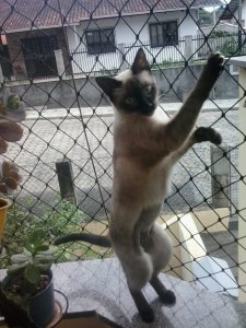 2019-07-03 15.01.55.jpg