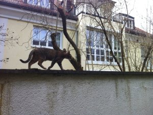 Cathi Gartenmauer.JPG