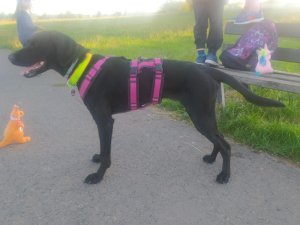 WhatsApp Image 2022-09-12 at 19.41.58.jpeg