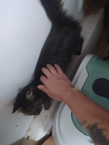 WhatsApp Image 2022-10-20 at 10.57.39.jpeg