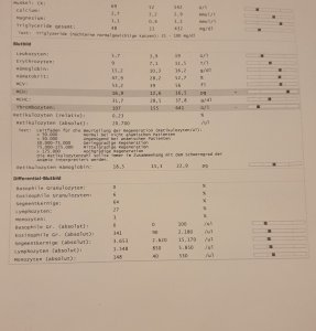 Blutbild 1 (2).jpg