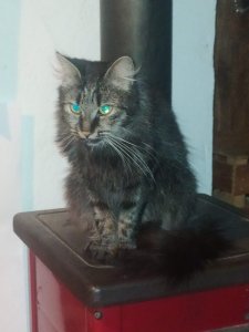 WhatsApp Image 2022-10-22 at 23.44.29.jpeg