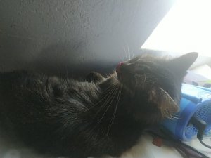 WhatsApp Image 2022-10-24 at 16.37.57 (1).jpeg