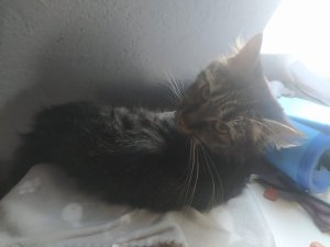 WhatsApp Image 2022-10-24 at 16.37.57.jpeg