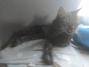 WhatsApp Image 2022-10-24 at 16.37.56 (2).jpeg