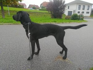 WhatsApp Image 2022-10-25 at 10.52.24.jpeg