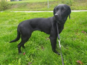 WhatsApp Image 2022-10-25 at 10.52.23.jpeg