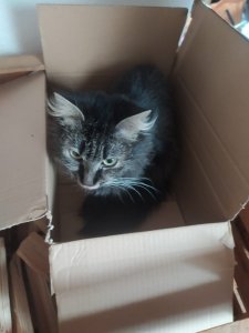 WhatsApp Image 2022-10-29 at 11.26.02 (2).jpeg