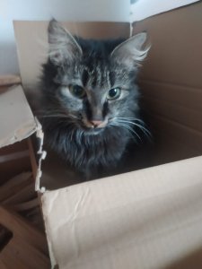 WhatsApp Image 2022-10-29 at 11.26.02 (1).jpeg