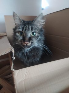 WhatsApp Image 2022-10-29 at 11.26.02.jpeg