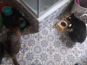 WhatsApp Image 2022-10-29 at 10.47.12.jpeg