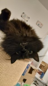 WhatsApp Image 2022-10-26 at 01.27.54.jpeg