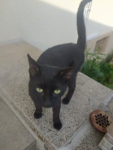 WhatsApp Image 2022-10-30 at 15.26.26 (1).jpeg