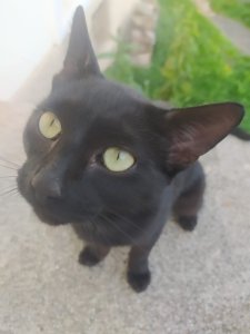 WhatsApp Image 2022-10-30 at 15.26.26.jpeg