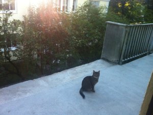 Cathi Balkonabriss.JPG