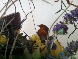 Vogel Blumenschale 2.JPG