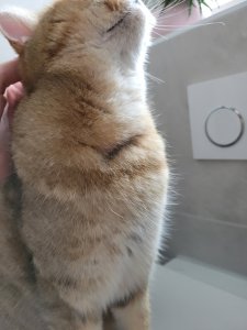 20221117_133426.jpg 20221117_133426.jpg