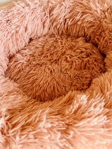 51A2C73E-31F4-4AC1-8F68-73DA9D0A6F9C.jpeg 51A2C73E-31F4-4AC1-8F68-73DA9D0A6F9C.jpeg