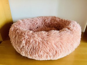 D1358559-FC4B-48D2-8927-E10F077F8D77.jpeg D1358559-FC4B-48D2-8927-E10F077F8D77.jpeg