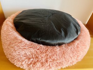 CE85D266-D2A9-4942-8F49-A2DE3804EA9B.jpeg CE85D266-D2A9-4942-8F49-A2DE3804EA9B.jpeg