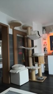 Kratzbaum + Hängematte.jpg