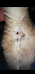 Screenshot_20230107-103810.jpg Screenshot_20230107-103810.jpg