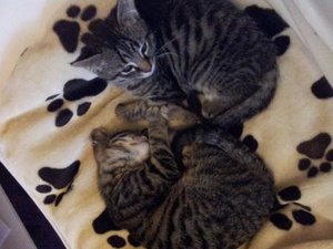 2011-10-09 17.54.28-1.jpg