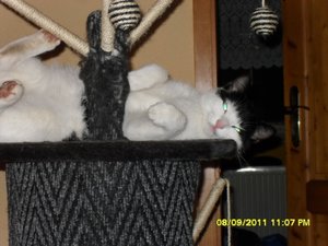 Mütze 2 005 [800x600].jpg