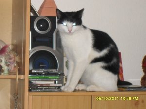 Mütze 2 018 [800x600].jpg