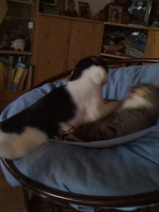 Mütze 013 [800x600].jpg