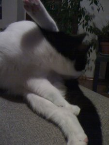 Mütze 015 [800x600].jpg