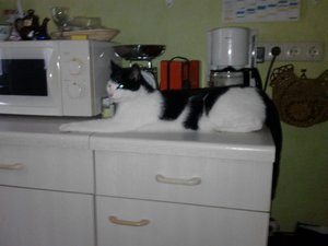 Mütze 038 [800x600].jpg