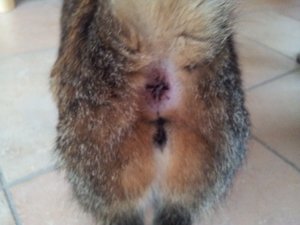 2011-10-17 16.49.13.jpg