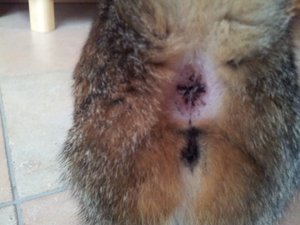 2011-10-17 16.49.15.jpg