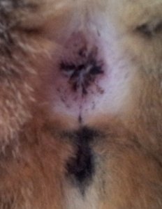 2011-10-17 16.49.15.jpg