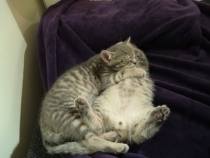 beide schlafen 2 .jpg