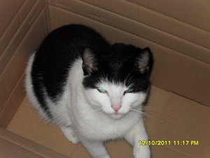 Mütze Herbst 004 [800x600].jpg