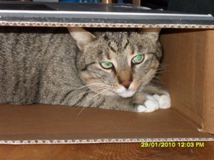 Bild4 037 [800x600].jpg