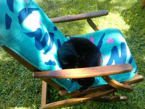 Shadow auf GaRTENSTUHL.jpg