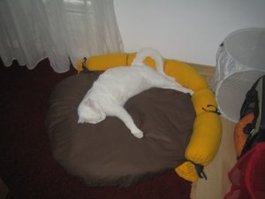 Urlaub 2011 im April 001.jpg